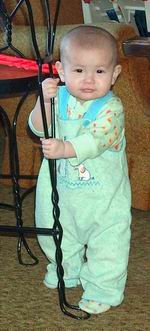 02-20-06dstands2.jpg