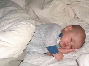 11-28dsleeping.jpg