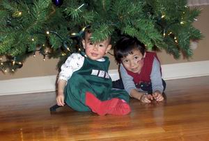 12-12-06bdtree02.jpg