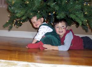 12-12-06bdtree03.jpg