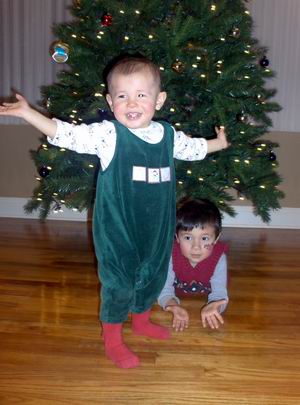 12-12-06bdtree04.jpg