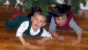 12-12-12bdtree02.jpg
