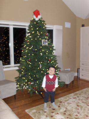 12-24-06btree.jpg