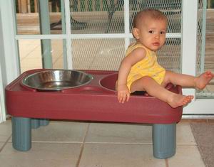 6-29-06ddoggybowl.jpg