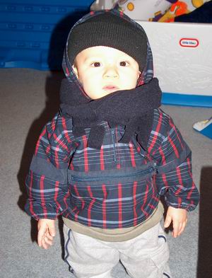 bundled.jpg
