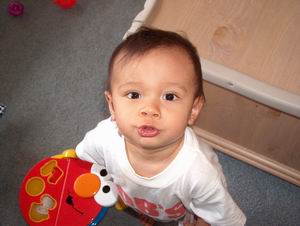 closeup2.jpg