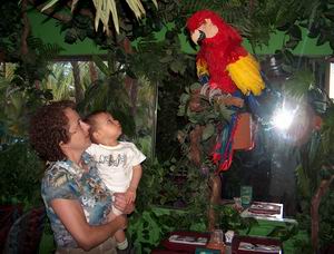 rainforest2.jpg